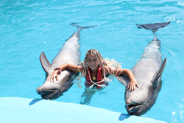 swimming with dolphin day trip  Hurghada
