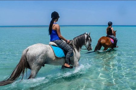 Horse riding  Hurghada