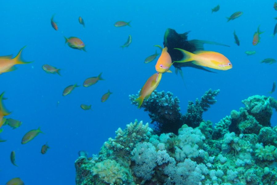 semi-submarine under water
